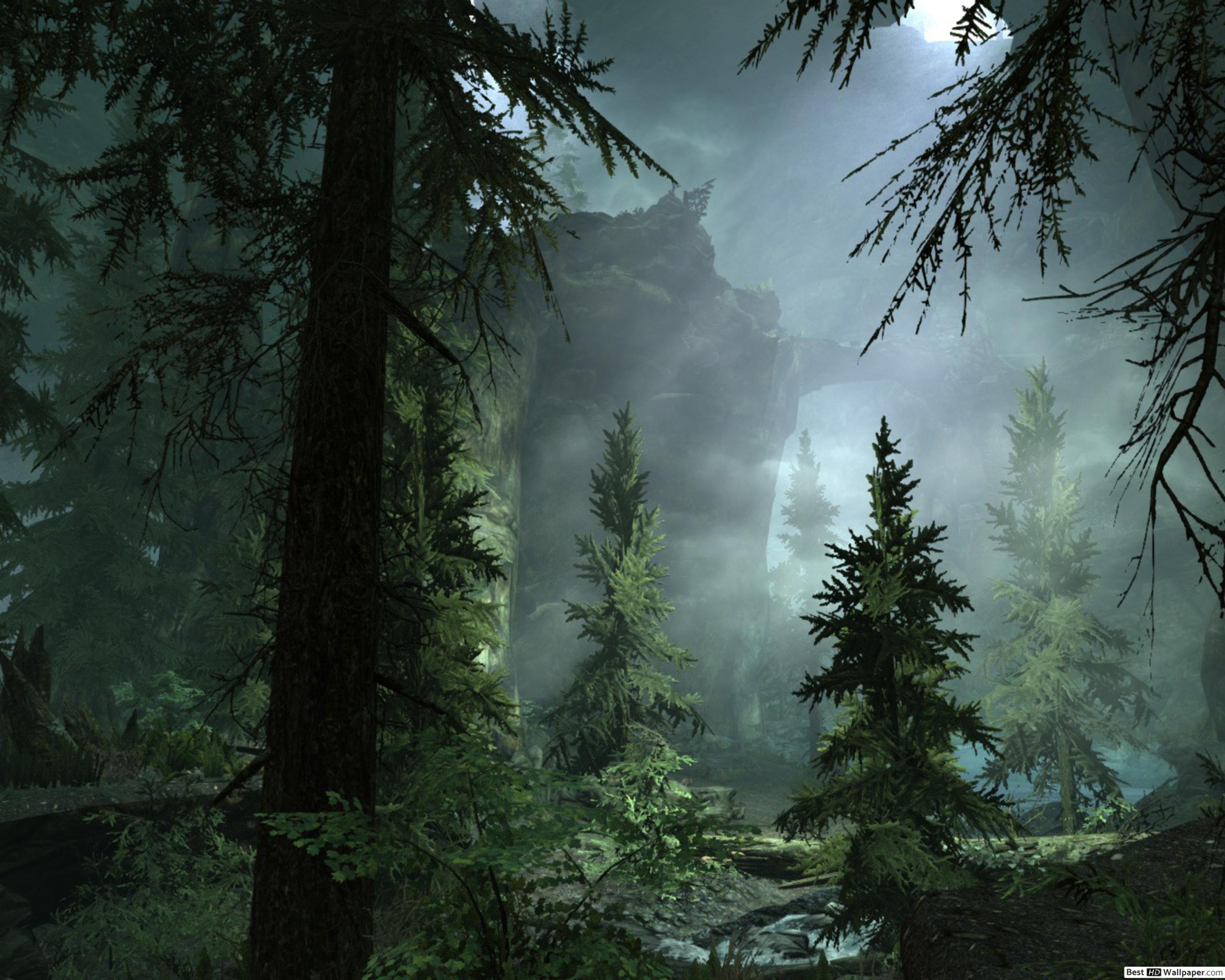 Fondo de pantalla de  2560x2048