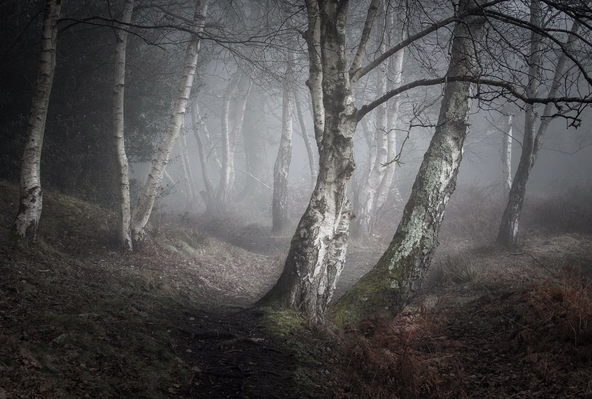 Fondo de pantalla de  2048x1379