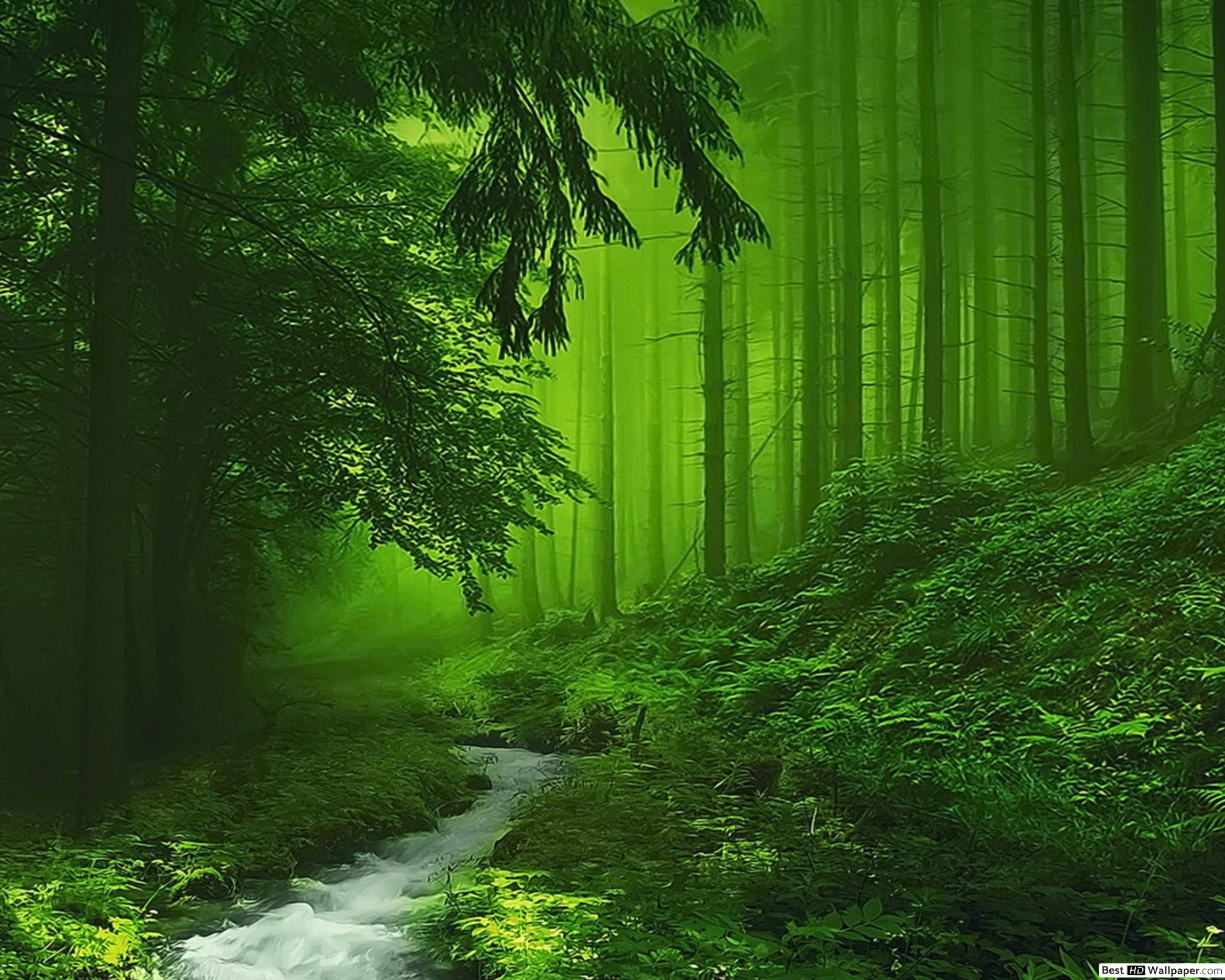 Fondo de pantalla de  2560x2048