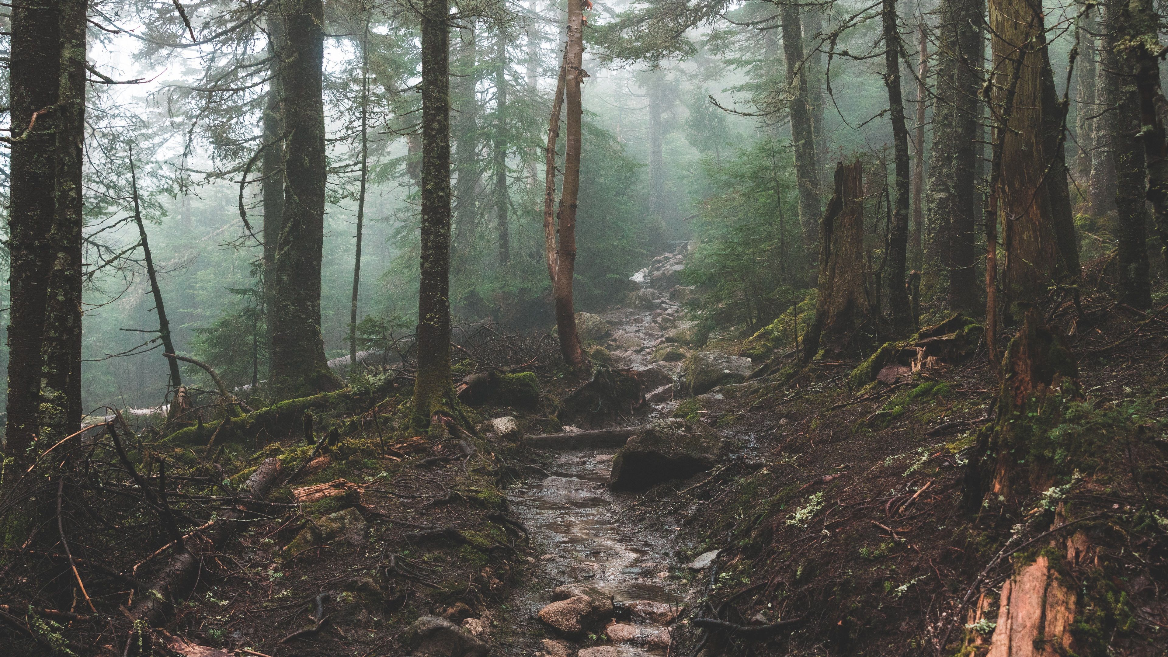 Fondo de pantalla de  3840x2160