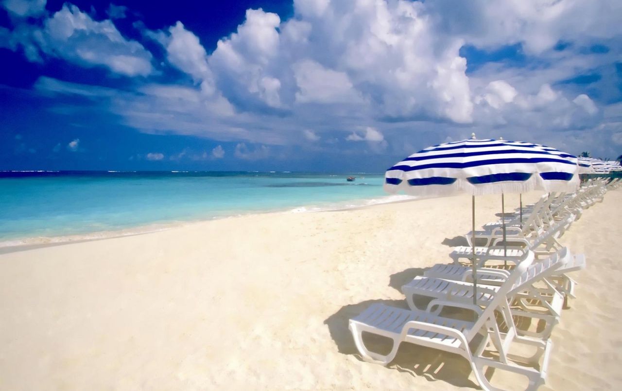 Fondo de pantalla de  1280x804