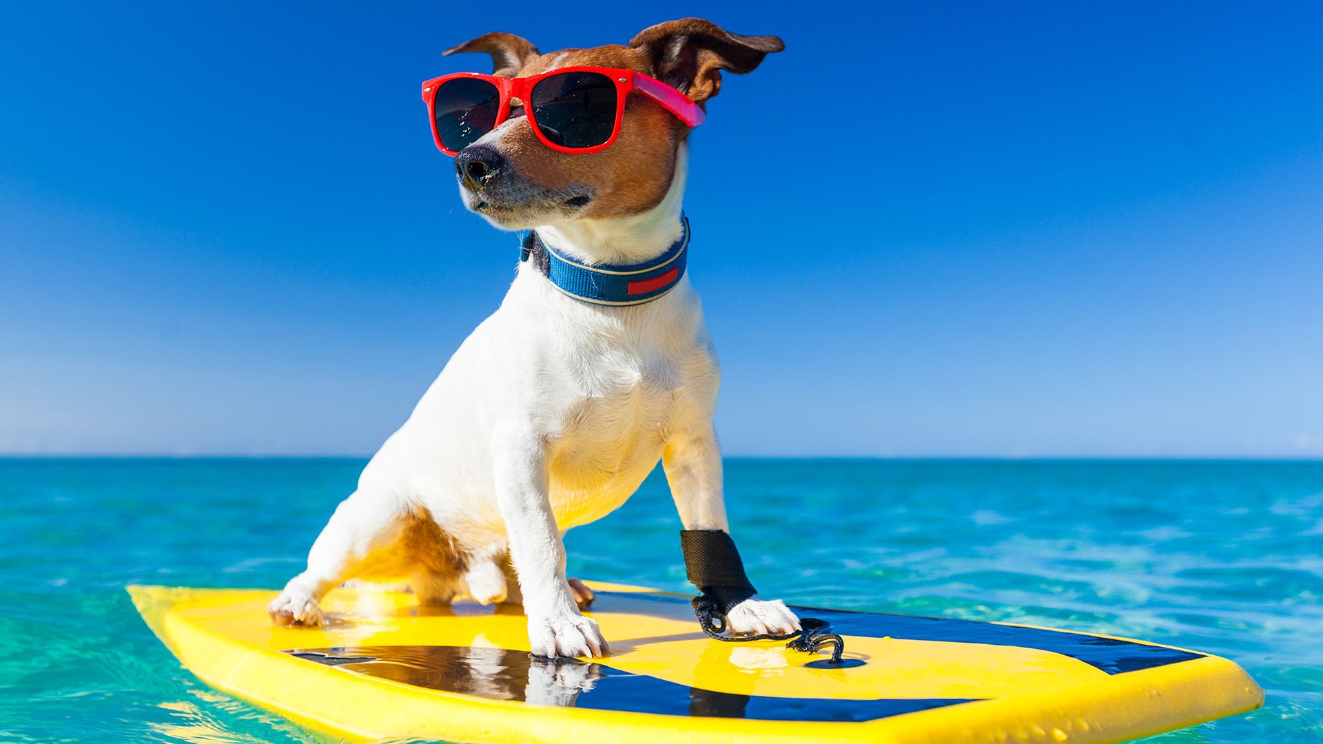 Fondo de pantalla de  1920x1080