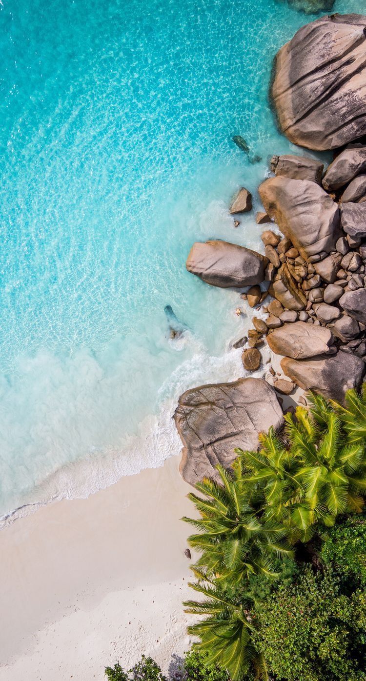 Fondo de pantalla de  750x1396