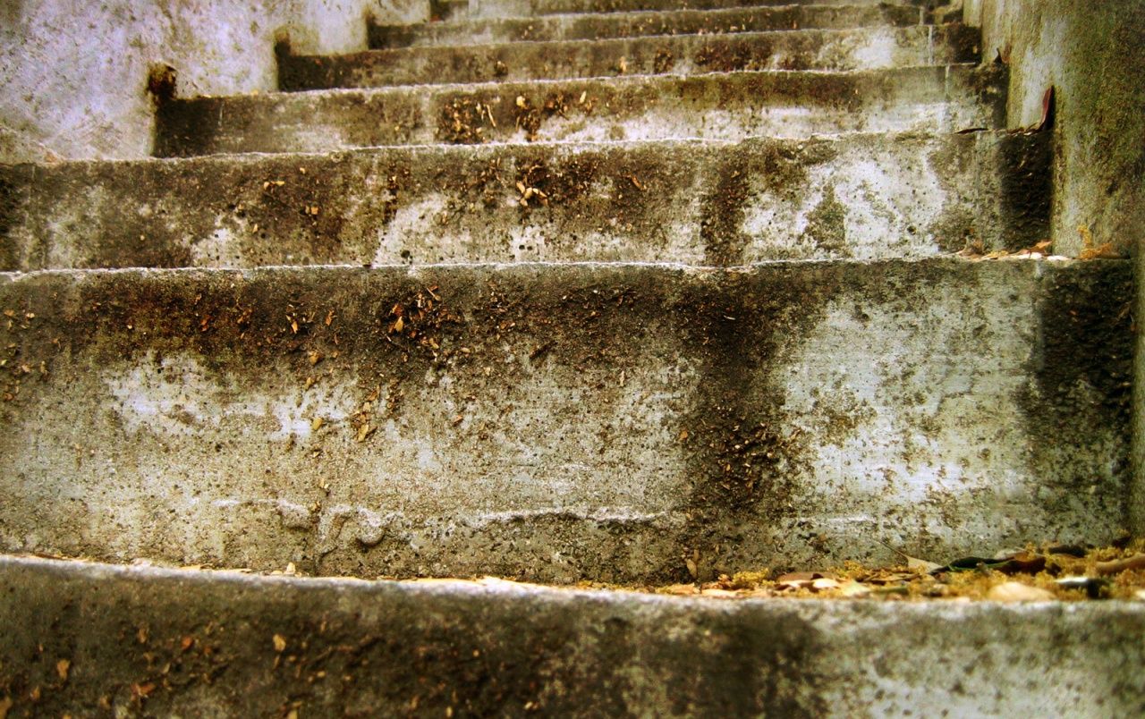 Fondo de pantalla de  1280x804