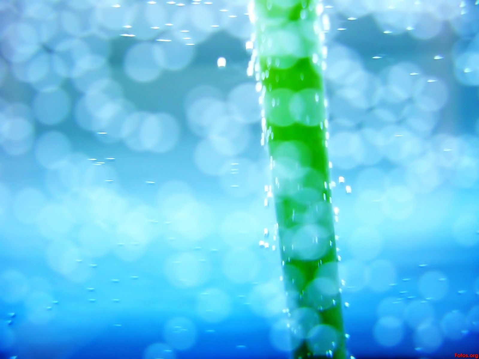 Fondo de pantalla   1600x1200