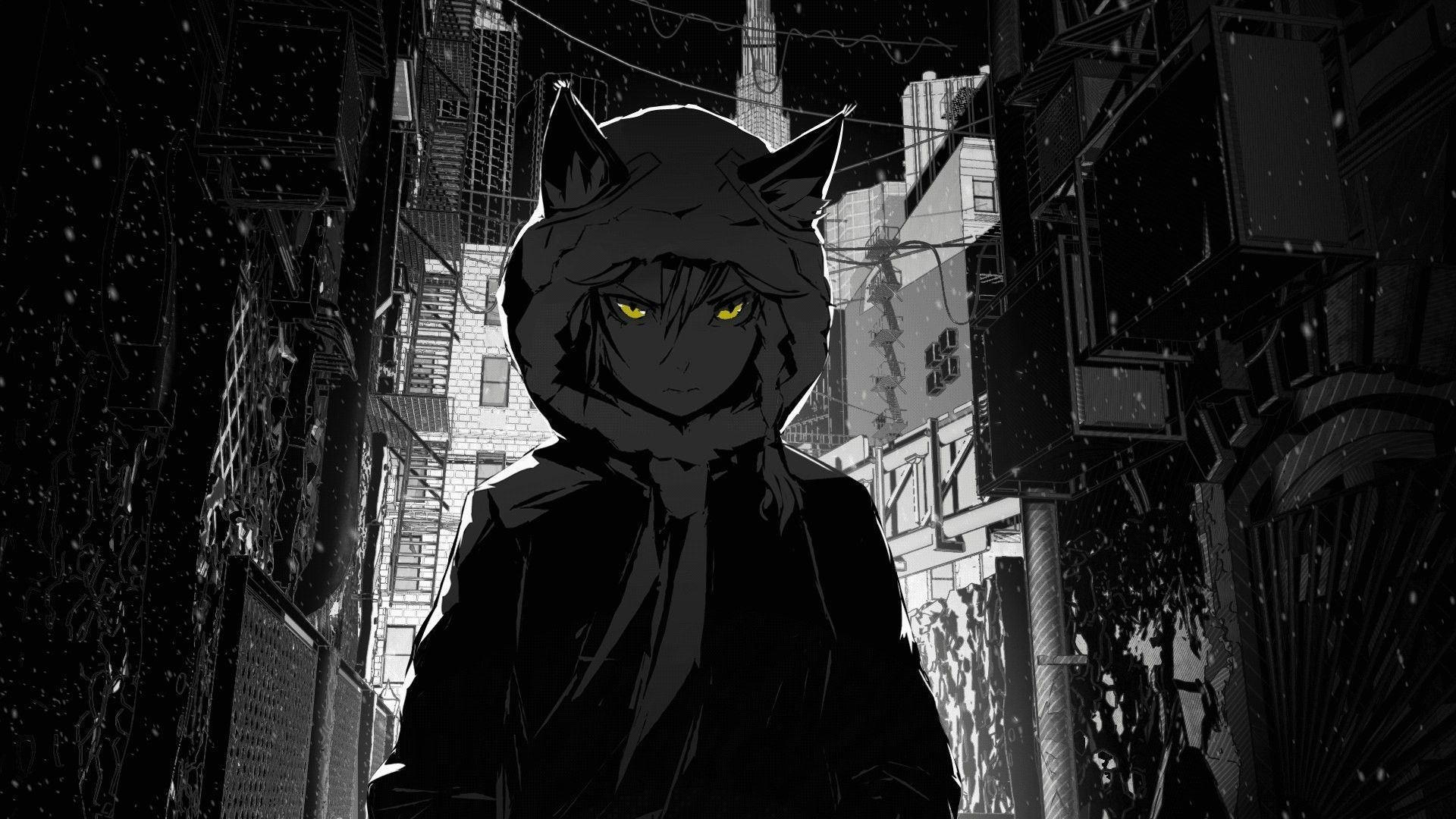 Fondo de pantalla   1920x1080