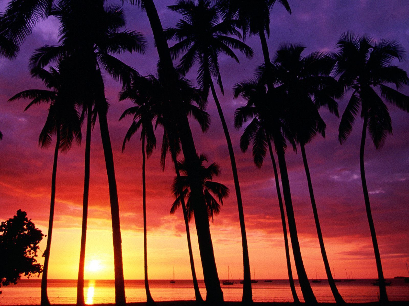 Sunset Spectacular Wallpapers en formato jpg para descarga gratuita