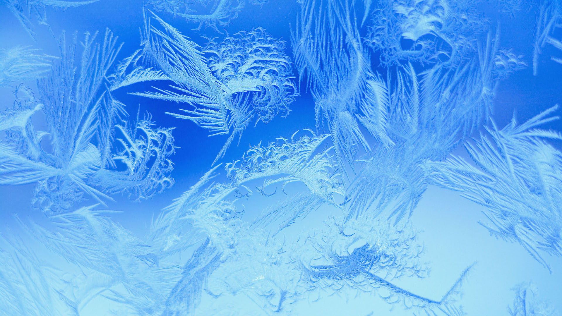 Fondo de pantalla de  1920x1080