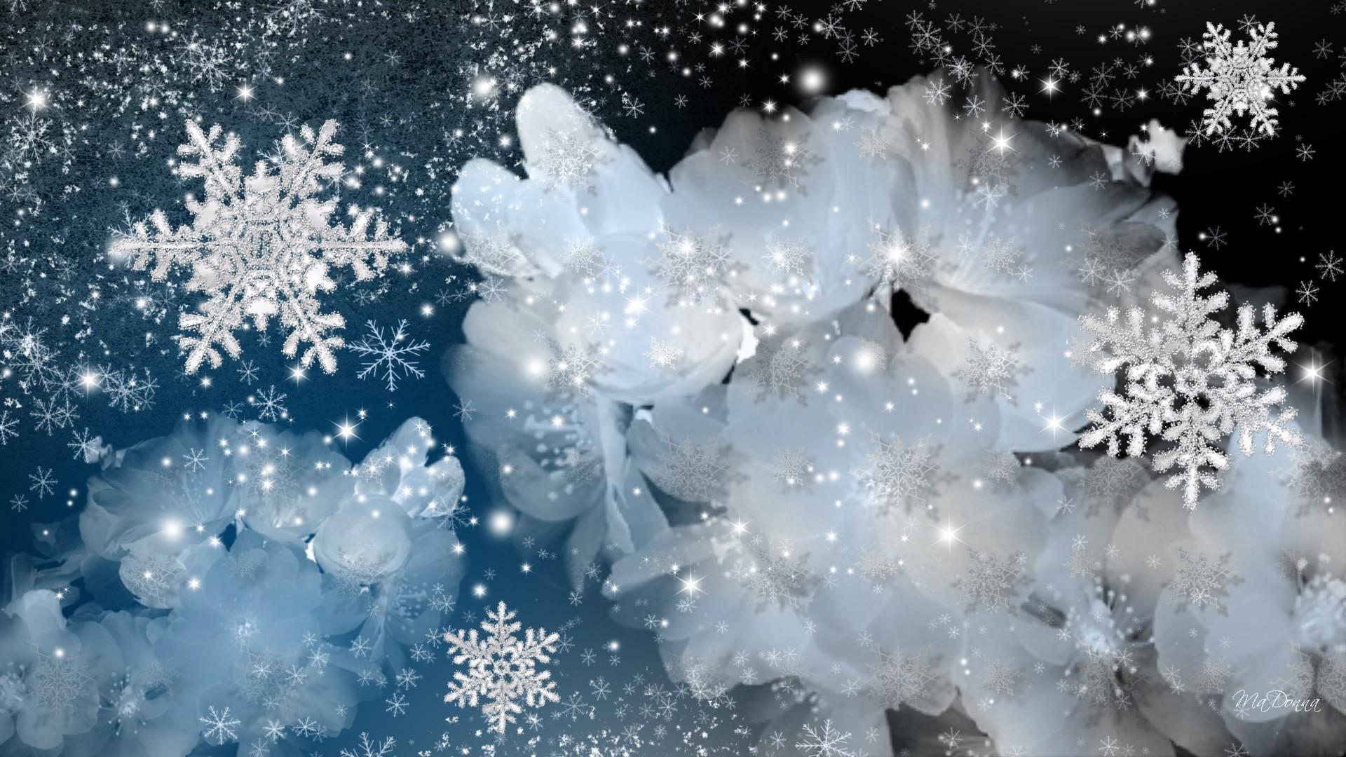 Fondo de pantalla de  1920x1080