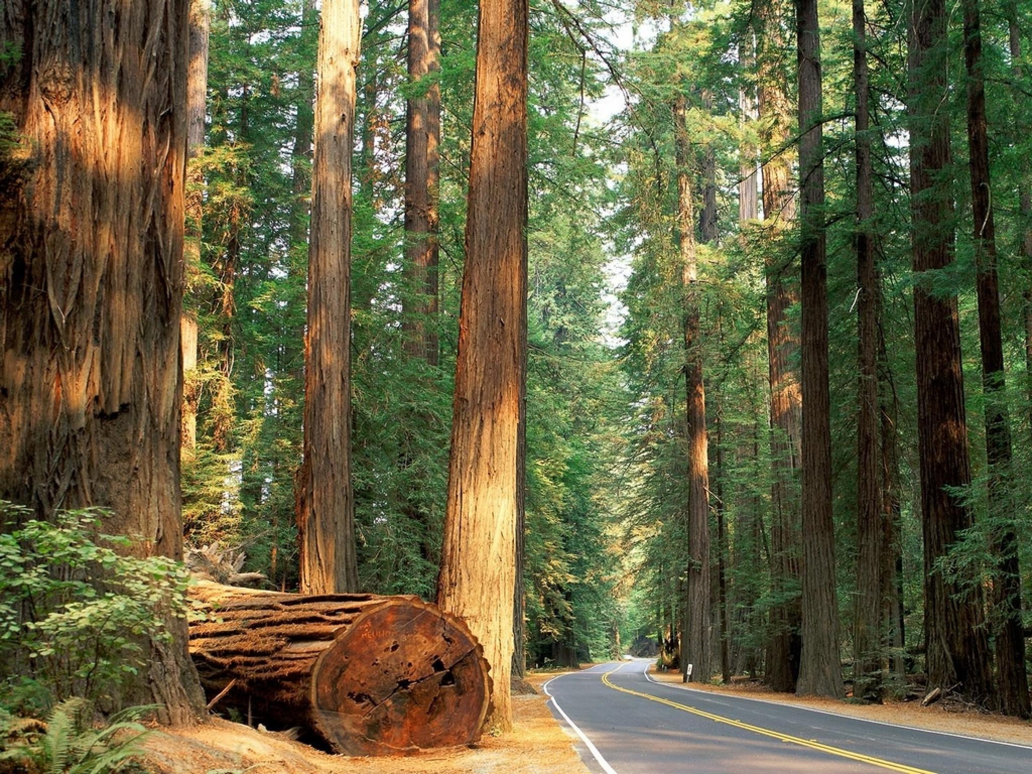 Fondo de pantalla de  2048x1536