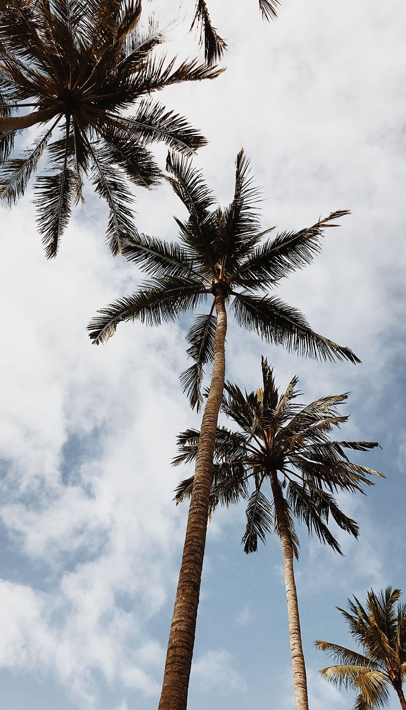 Fondo de pantalla de  800x1400