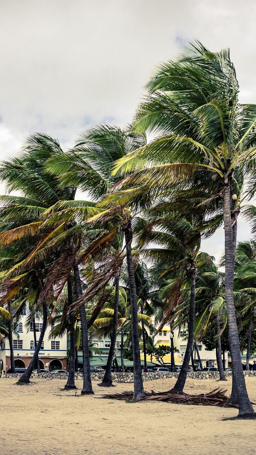 Fondo de pantalla de  1080x1920