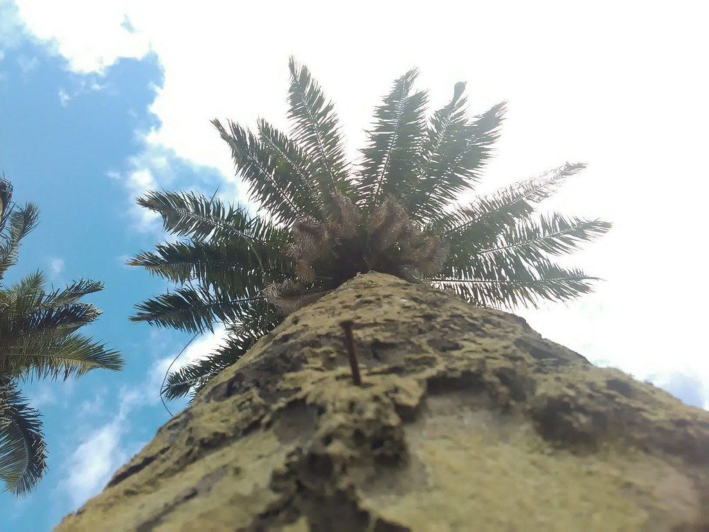 Fondo de pantalla de  1024x768