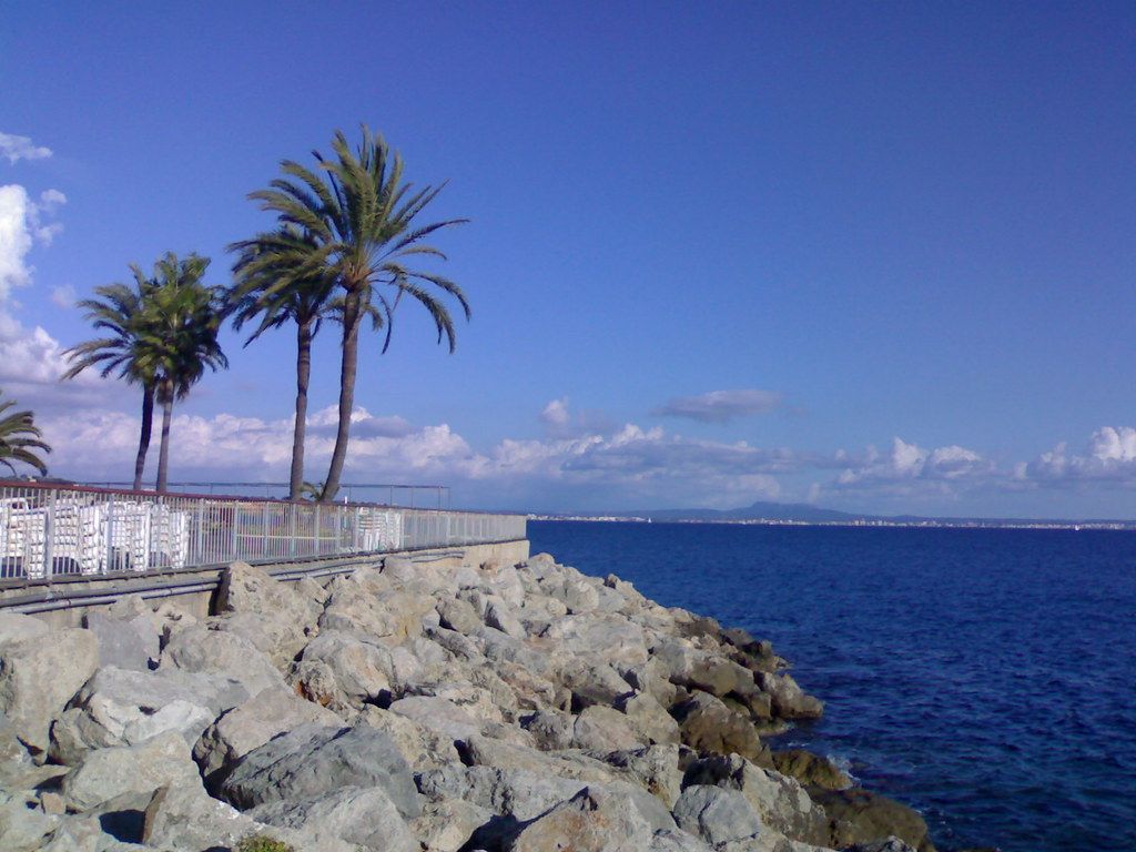 Fondo de pantalla de  1024x768