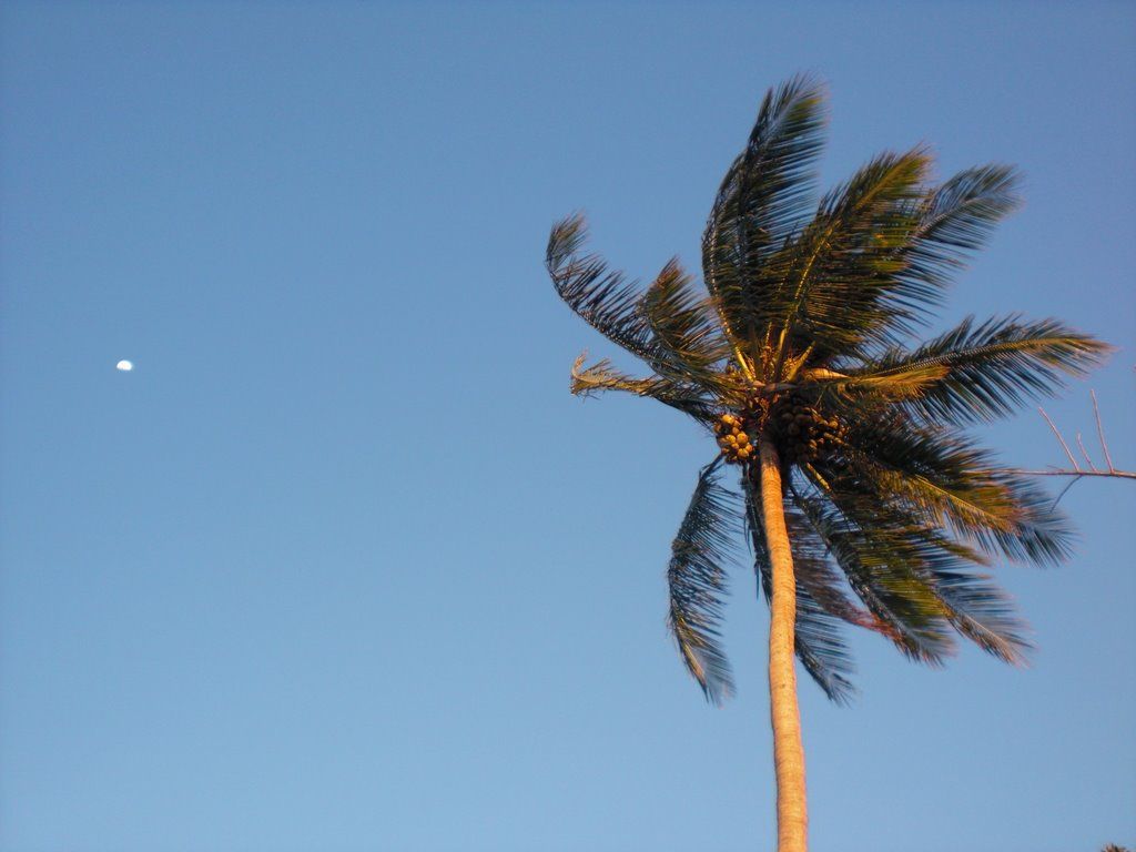 Fondo de pantalla de  1024x768