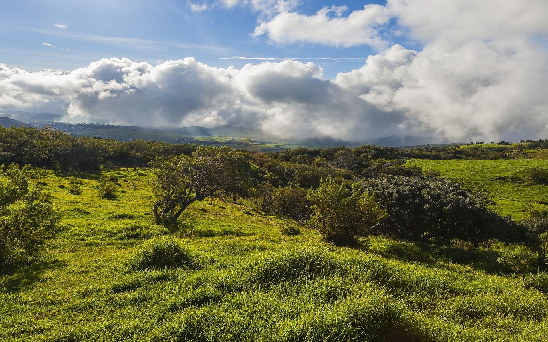 Fondo de pantalla de  1920x1200