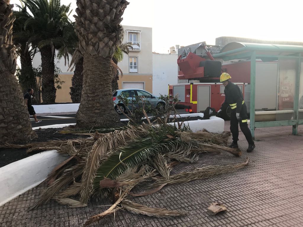 Fondo de pantalla de  1024x768