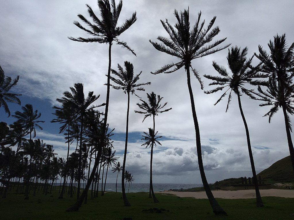 Fondo de pantalla de  1024x768