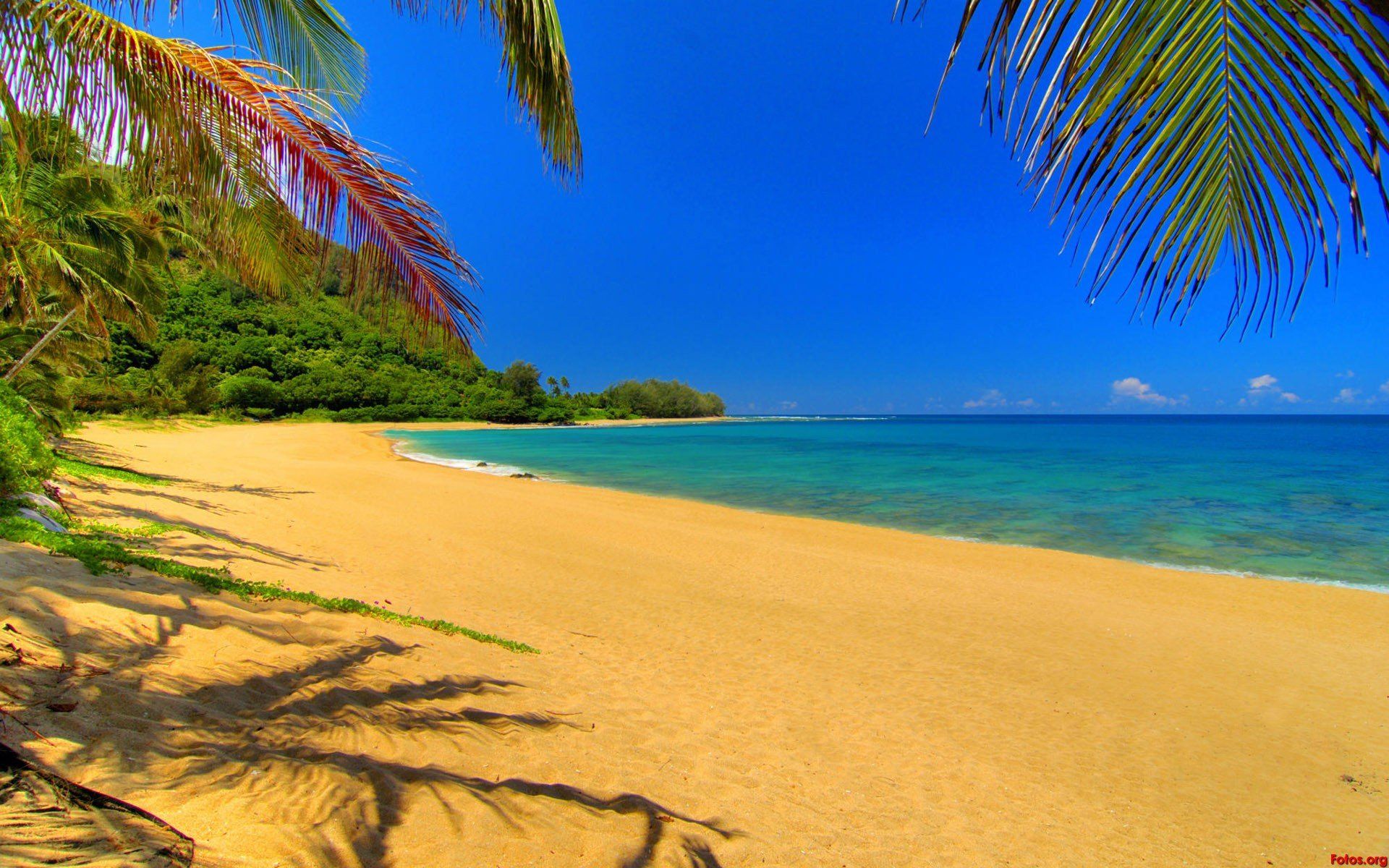 Fondo de pantalla de  1920x1200