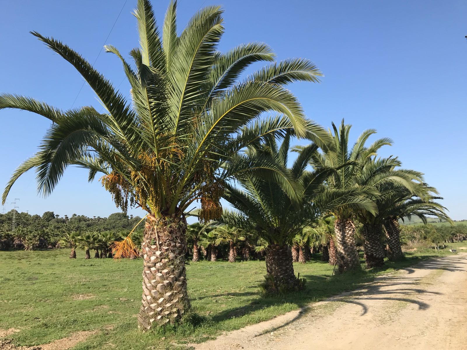 Fondo de pantalla de  1600x1200