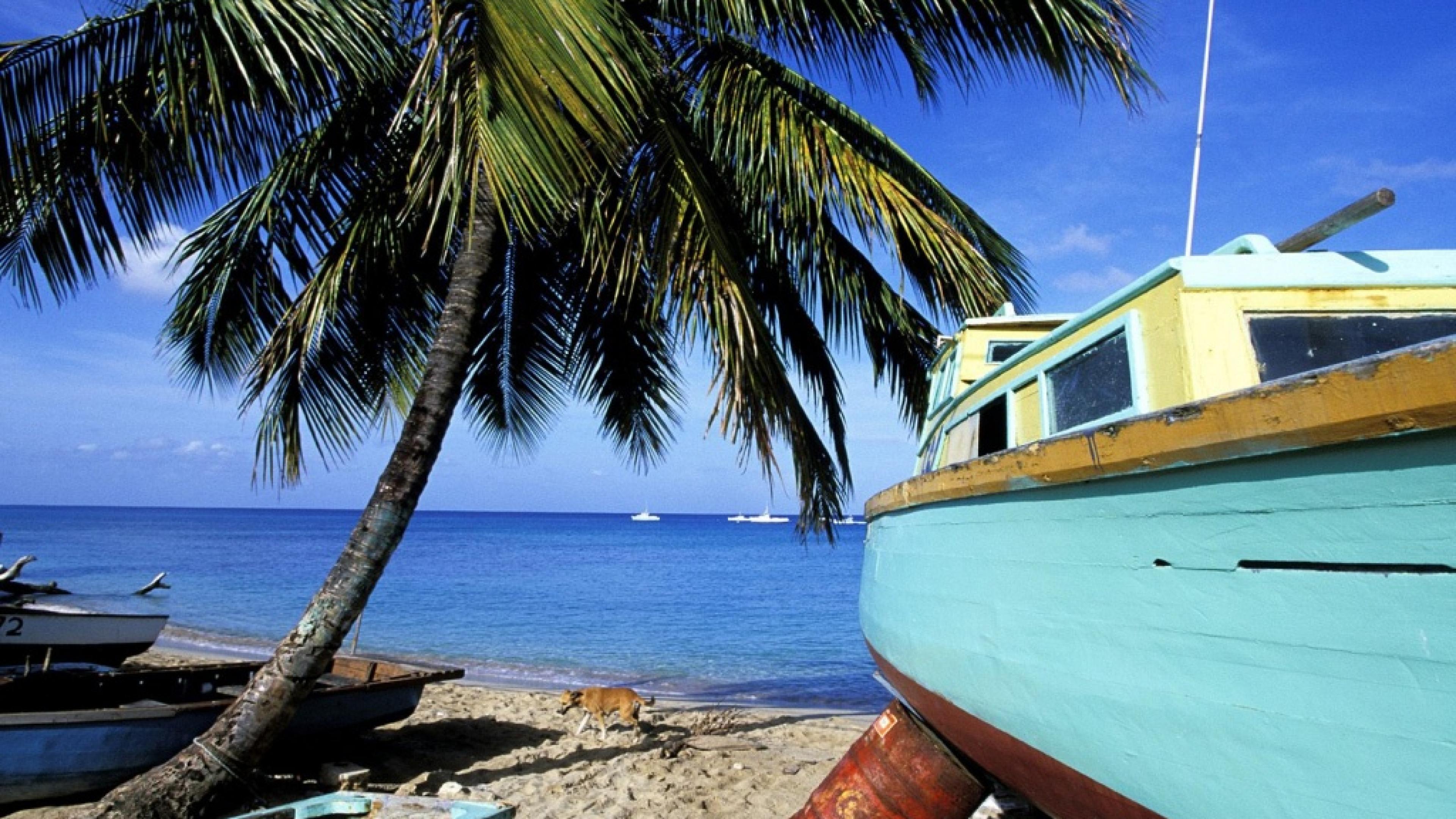 Fondo de pantalla de  3840x2160