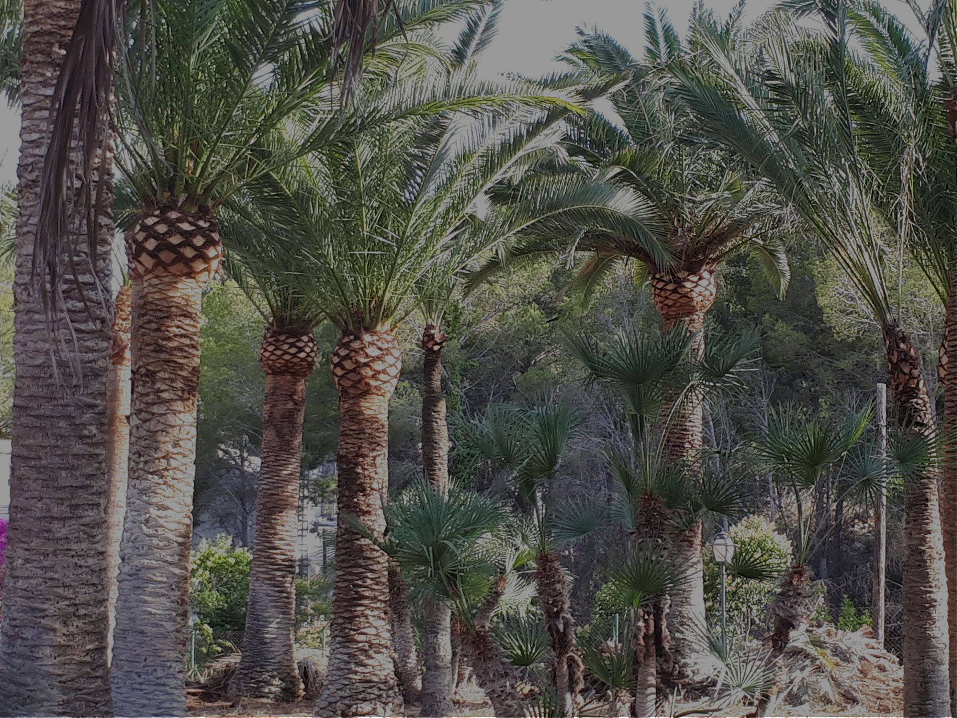 Fondo de pantalla de  1920x1440