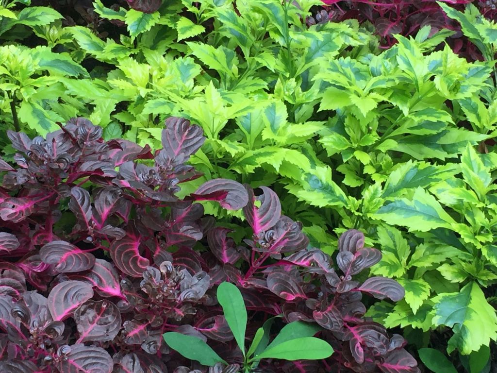 Fondo de pantalla de  1024x768