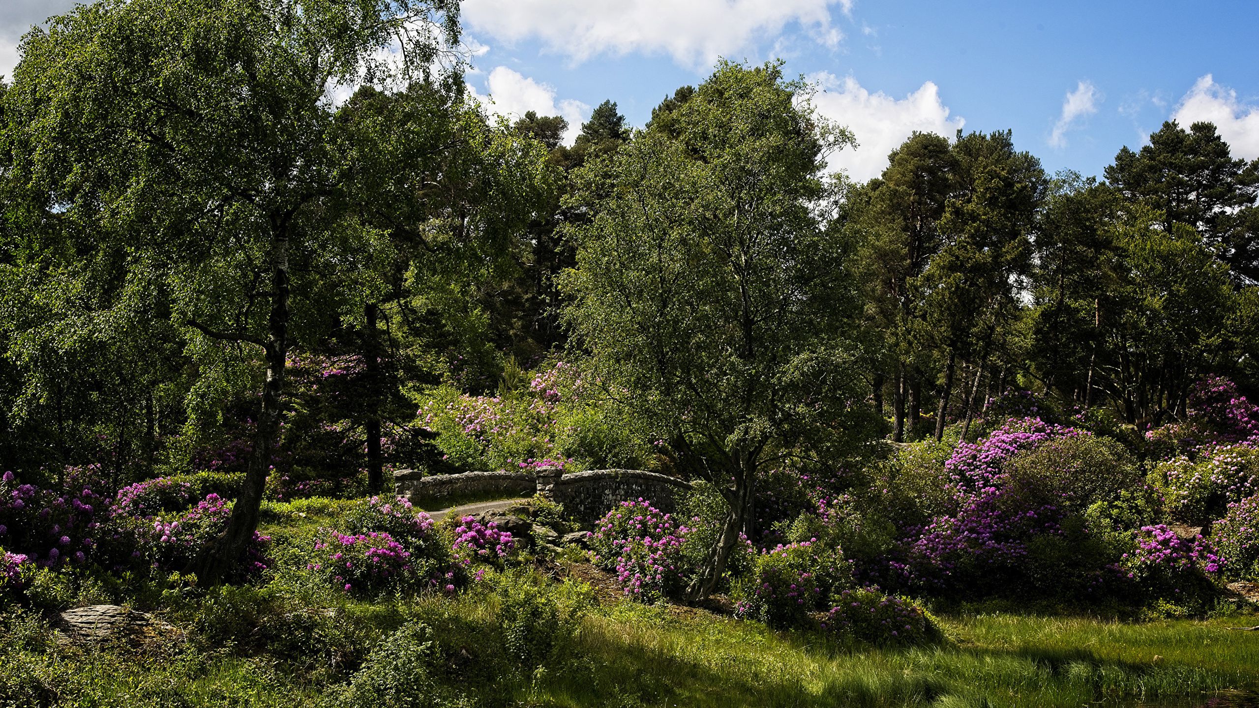 Fondo de pantalla de  2560x1440