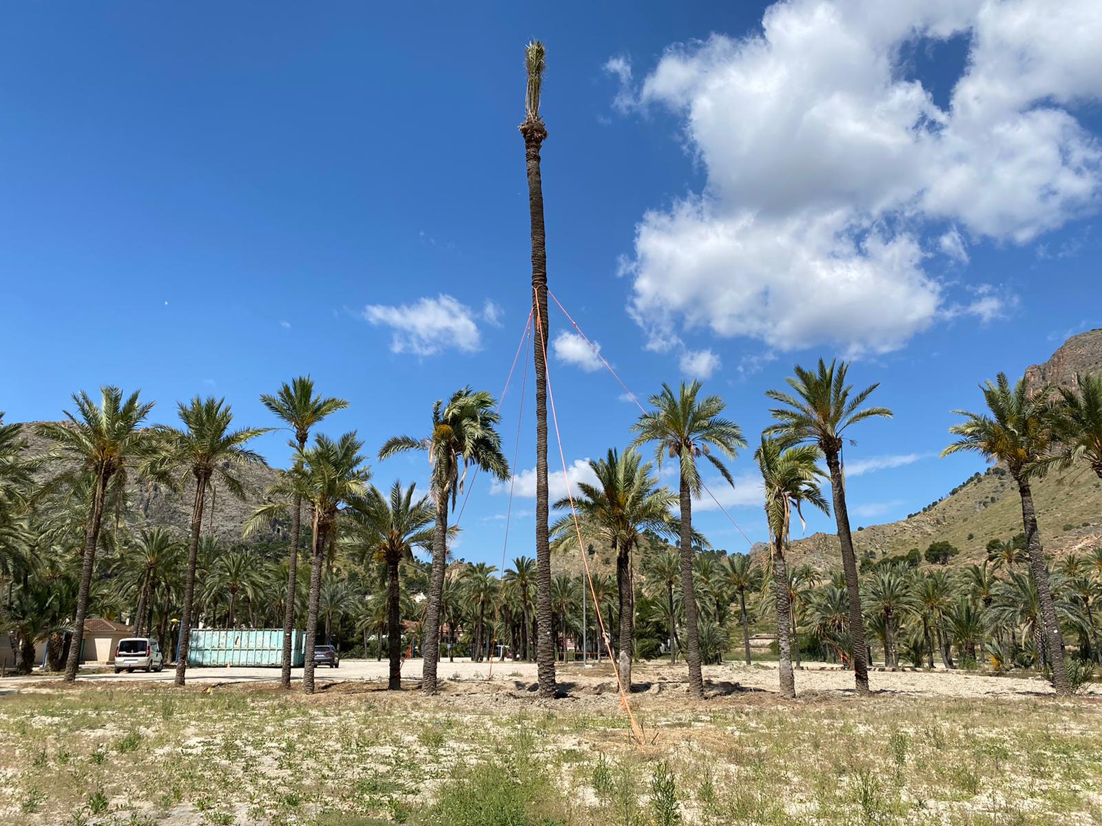 Fondo de pantalla de  1600x1200