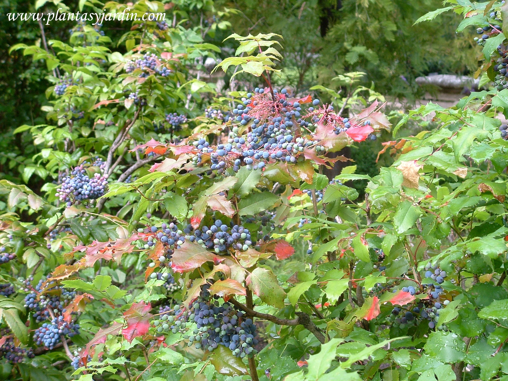 Fondo de pantalla de  2048x1536