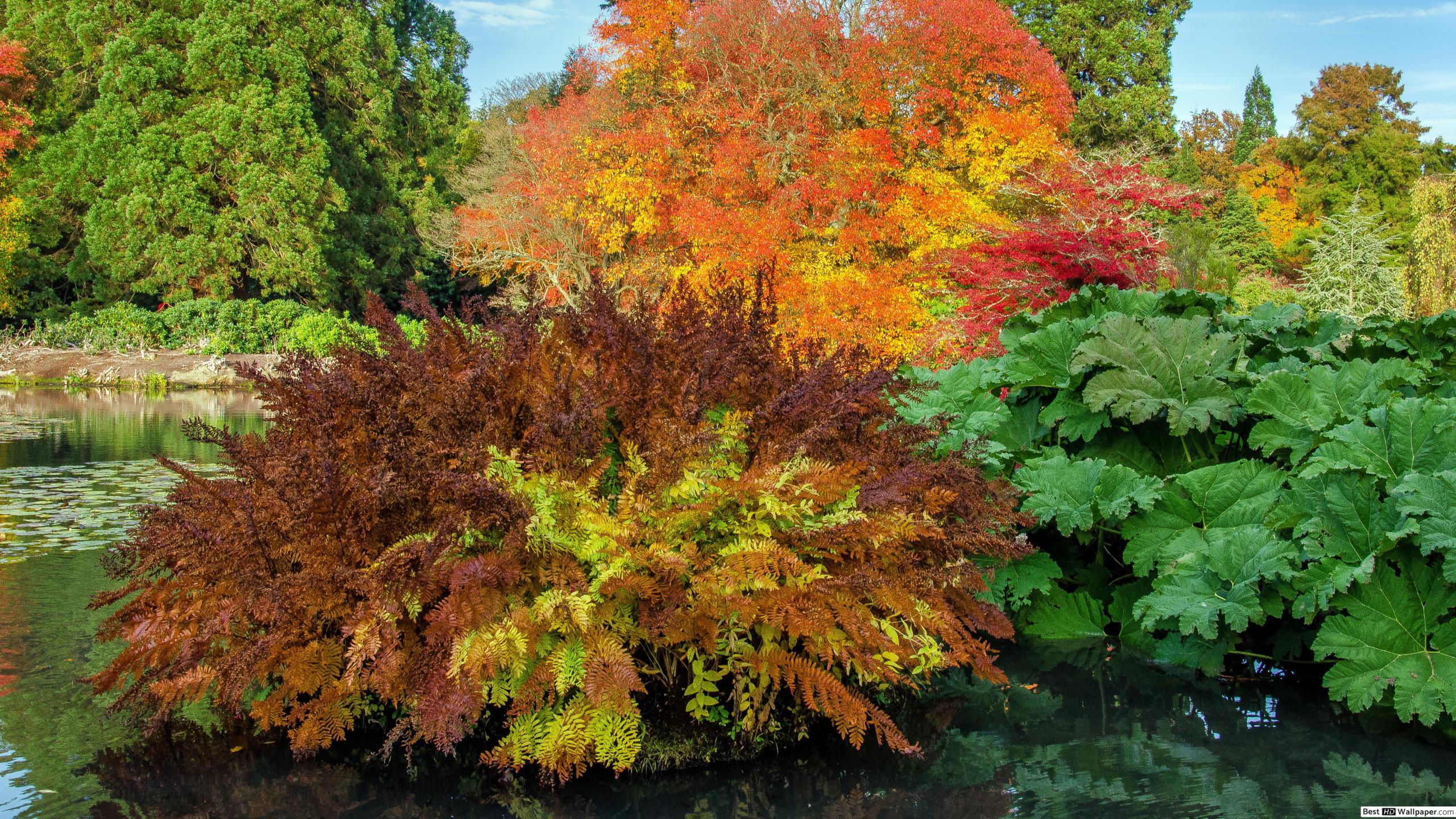 Fondo de pantalla de  2560x1440