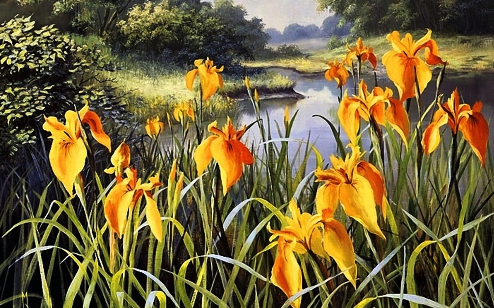 Fondo de pantalla de  1920x1200