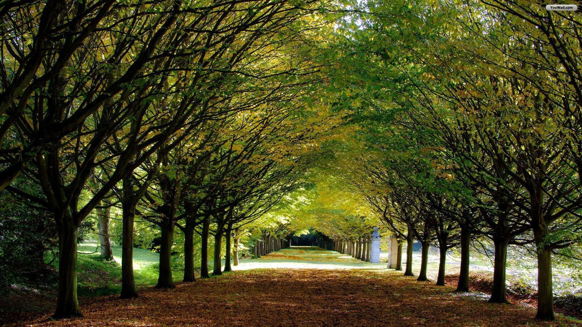 Fondo de pantalla de  1920x1080