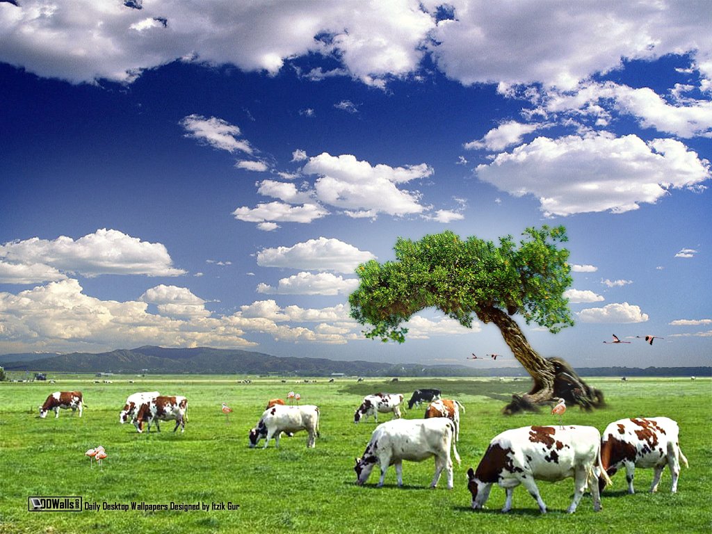 Fondo de pantalla de  1024x768
