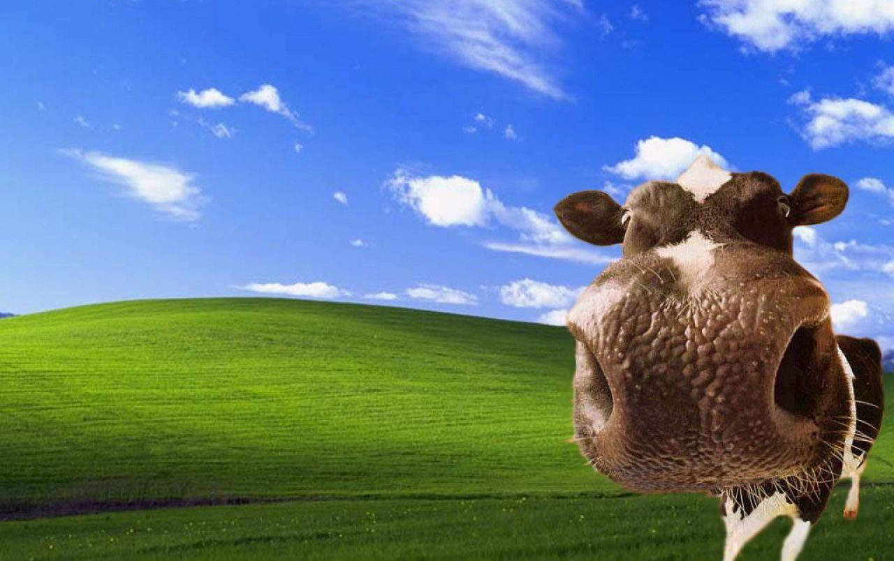 Fondo de pantalla de  1280x804