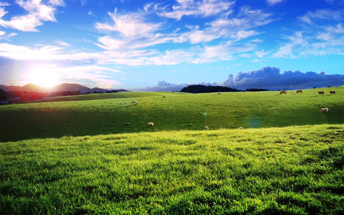 Fondo de pantalla de  1440x900