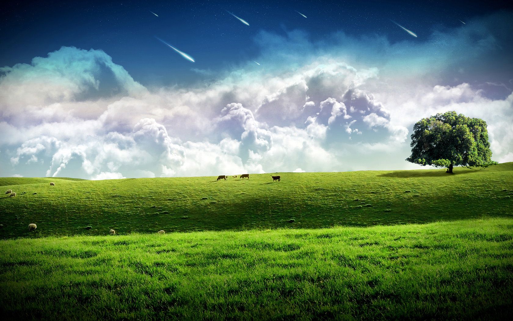 Fondo de pantalla de  1680x1050