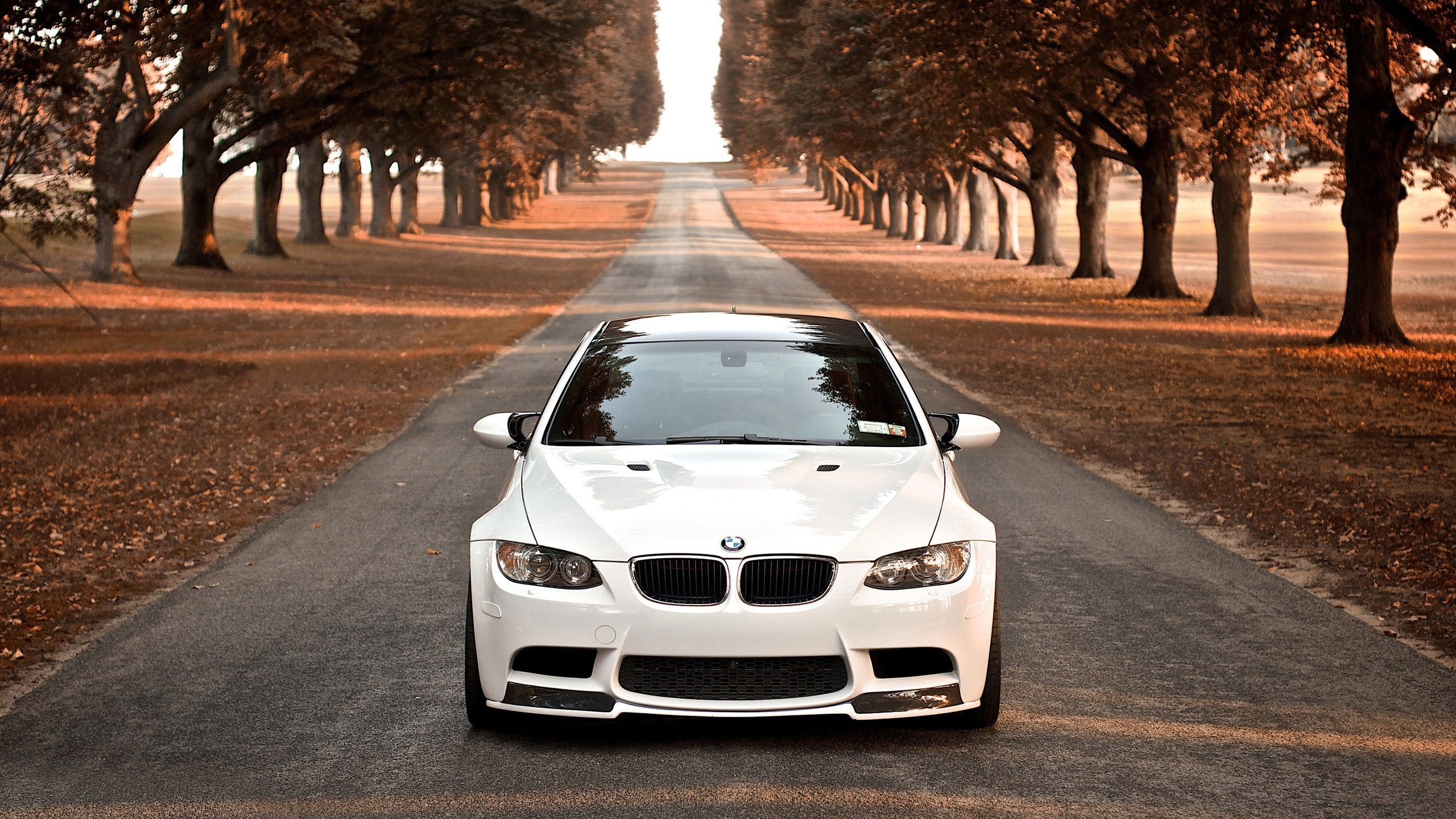 coches, BMW :: Fondos de pantalla
