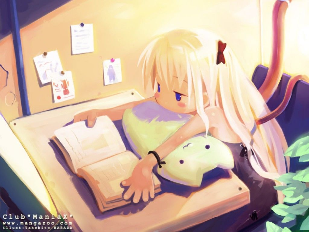 Fondo de pantalla de  1024x768