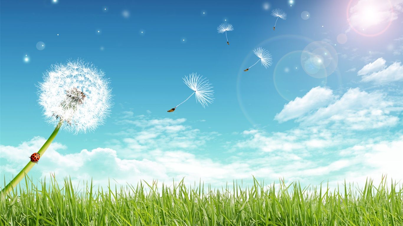 Fondo de pantalla de  1366x768