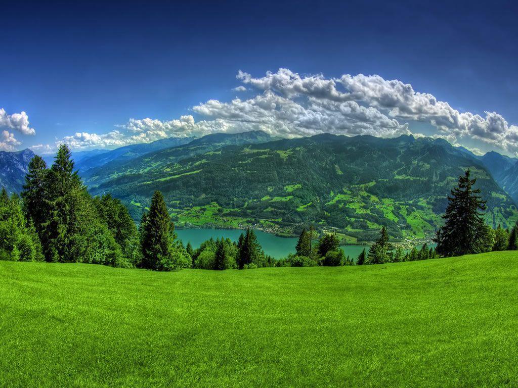 Fondo de pantalla de  1024x768