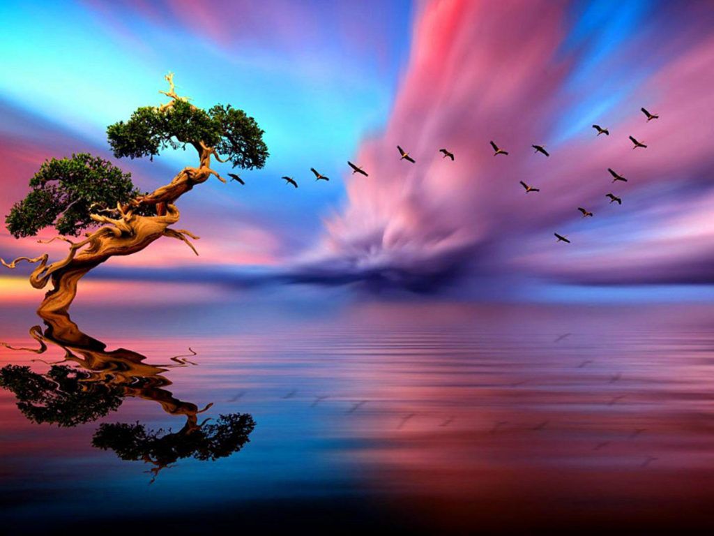 Fondo de pantalla de  1024x768