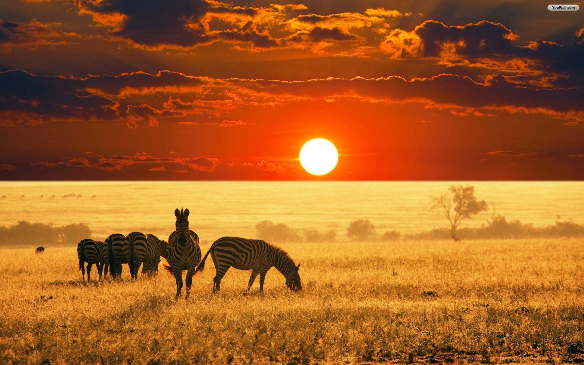 Africa Wallpapers