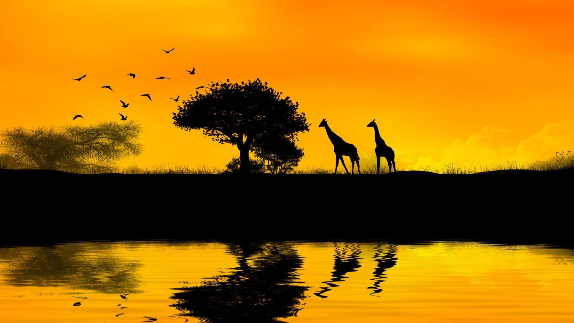 HD African Art Wallpaper 1280 × 800 África Fondos de pantalla (43 Fondos de pantalla