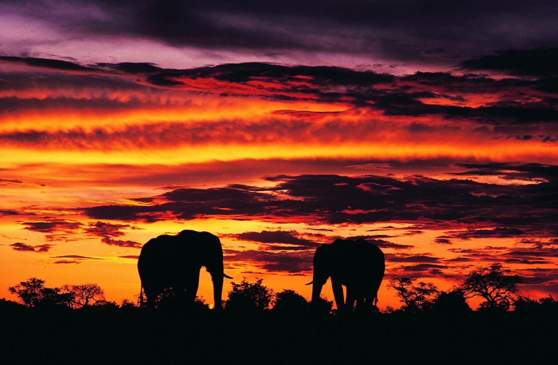 África Wallpaper PC Laptop Africa Imágenes en FHDWK | Citas de la Biblia en