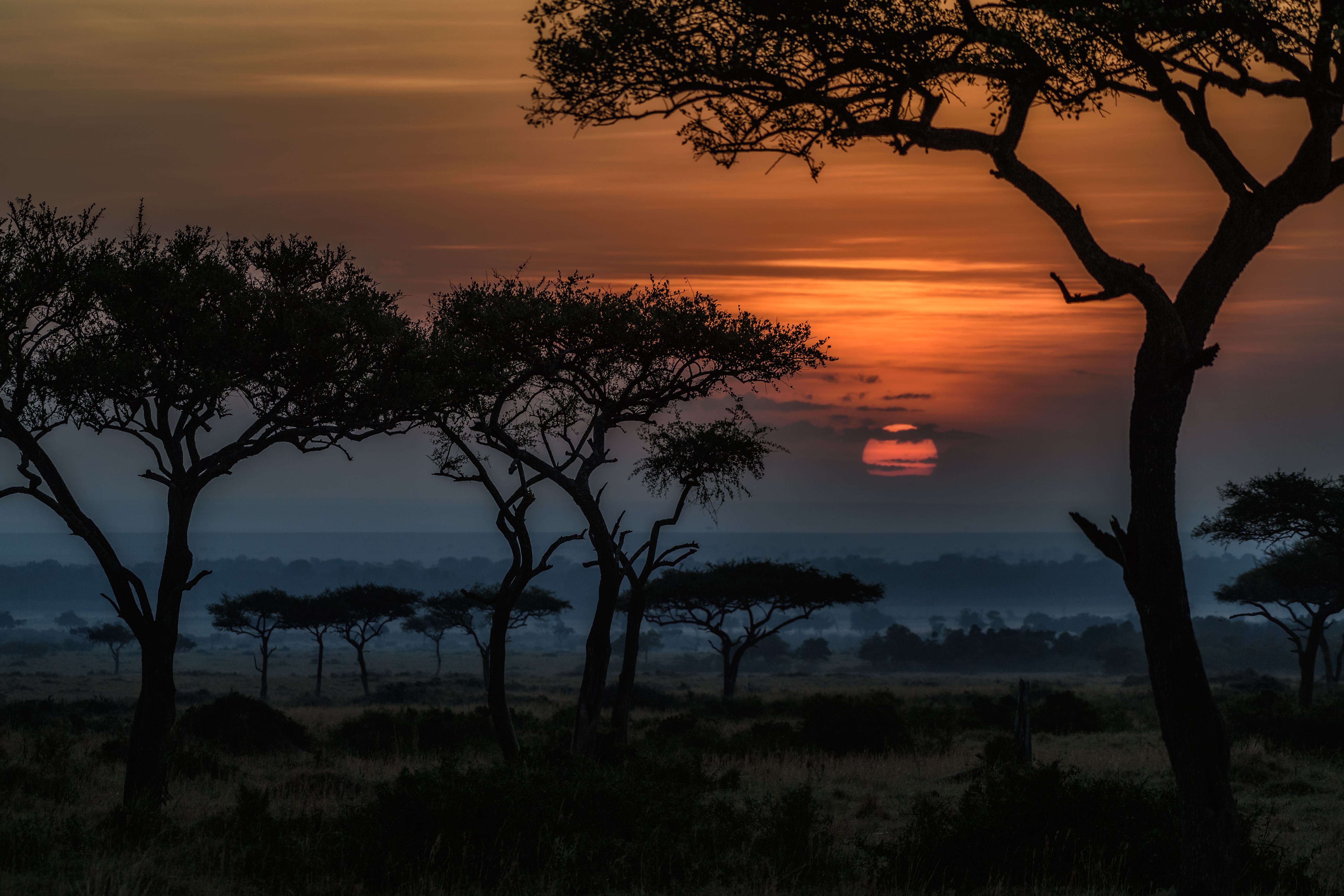 202 África Fondos de pantalla HD | Imágenes de fondo