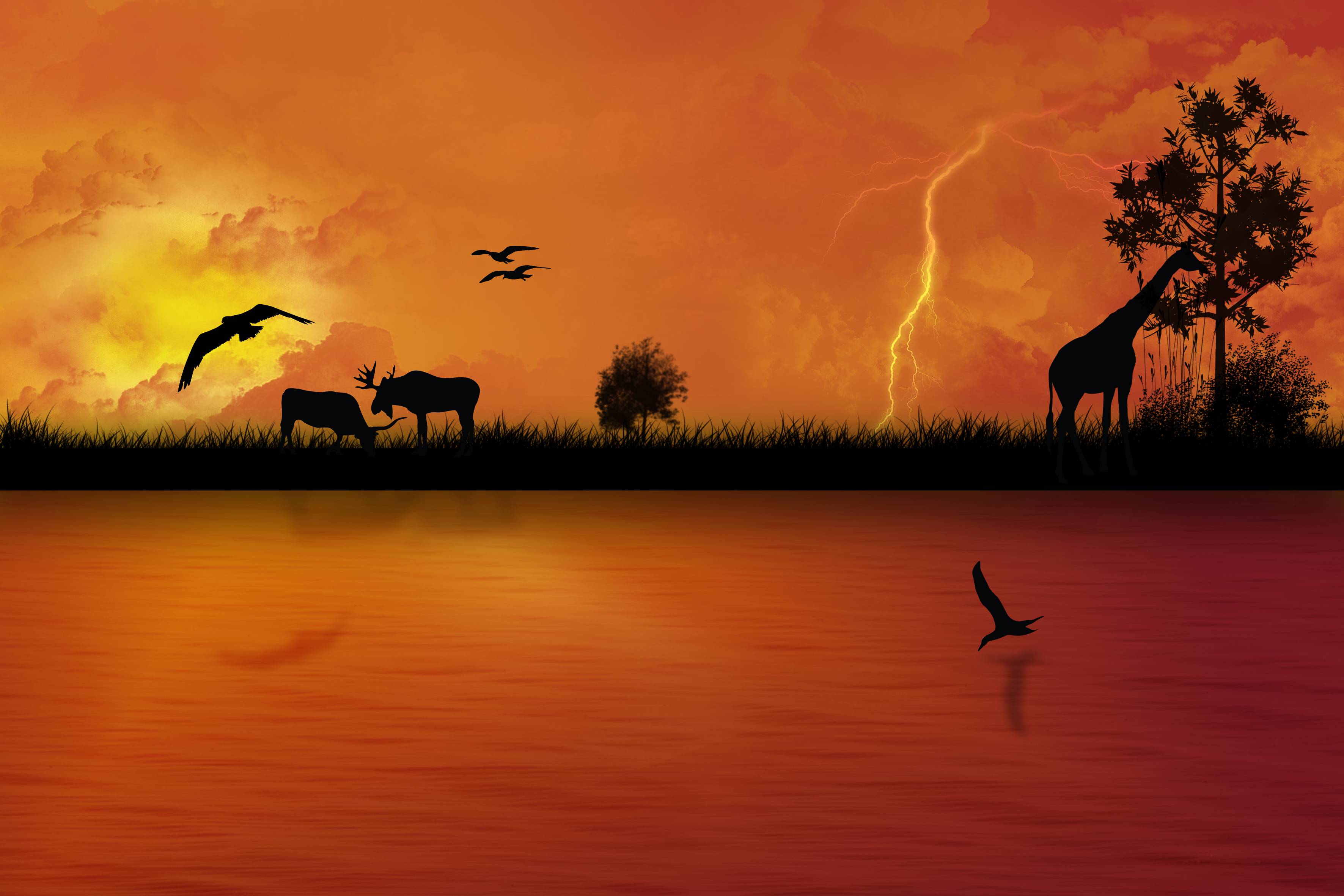 Más de 60 fondos de escritorio de África Sunset - Descarga