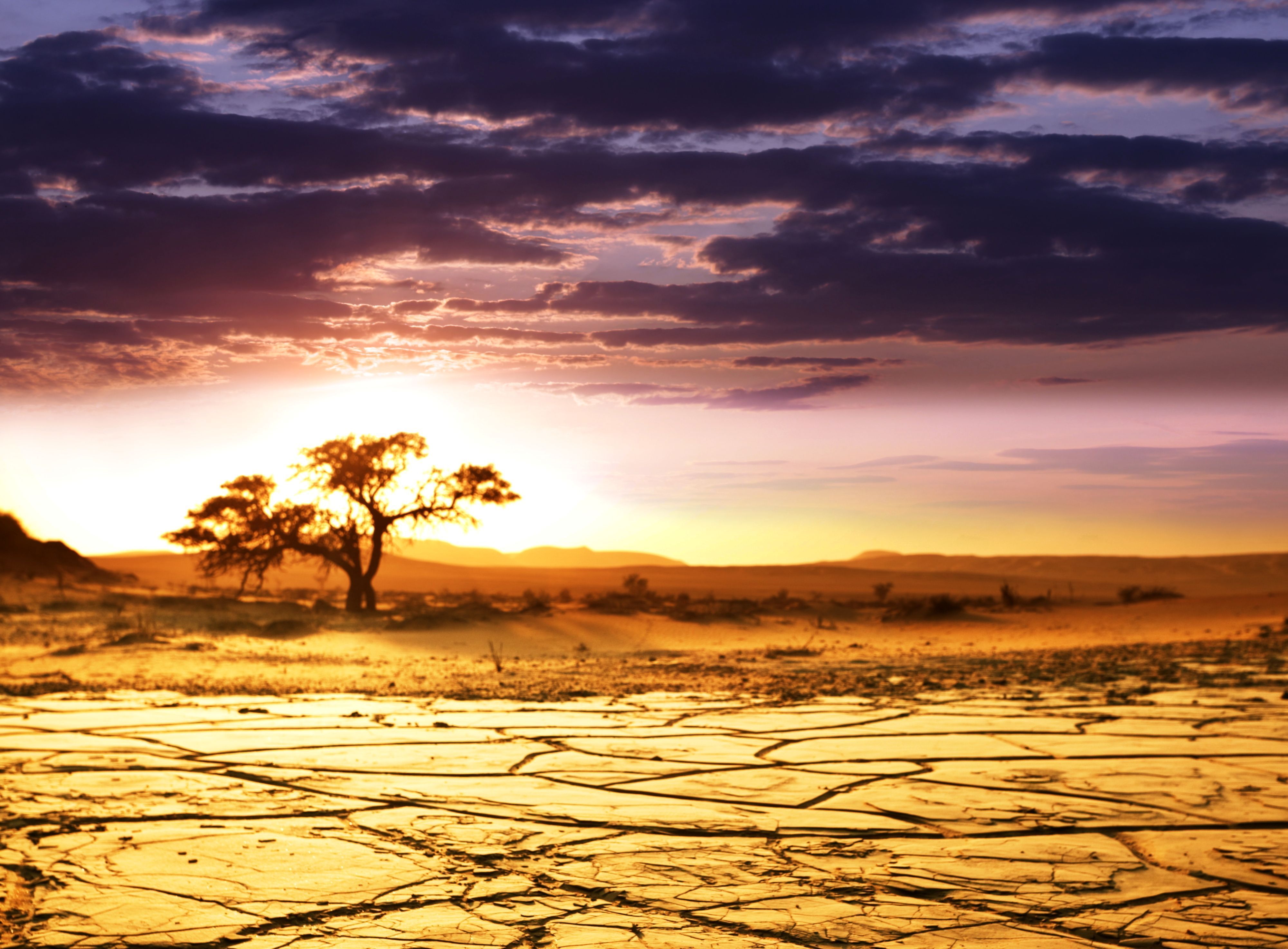 Descargar fondo de pantalla África, sabana, paisaje, horizonte libre de escritorio