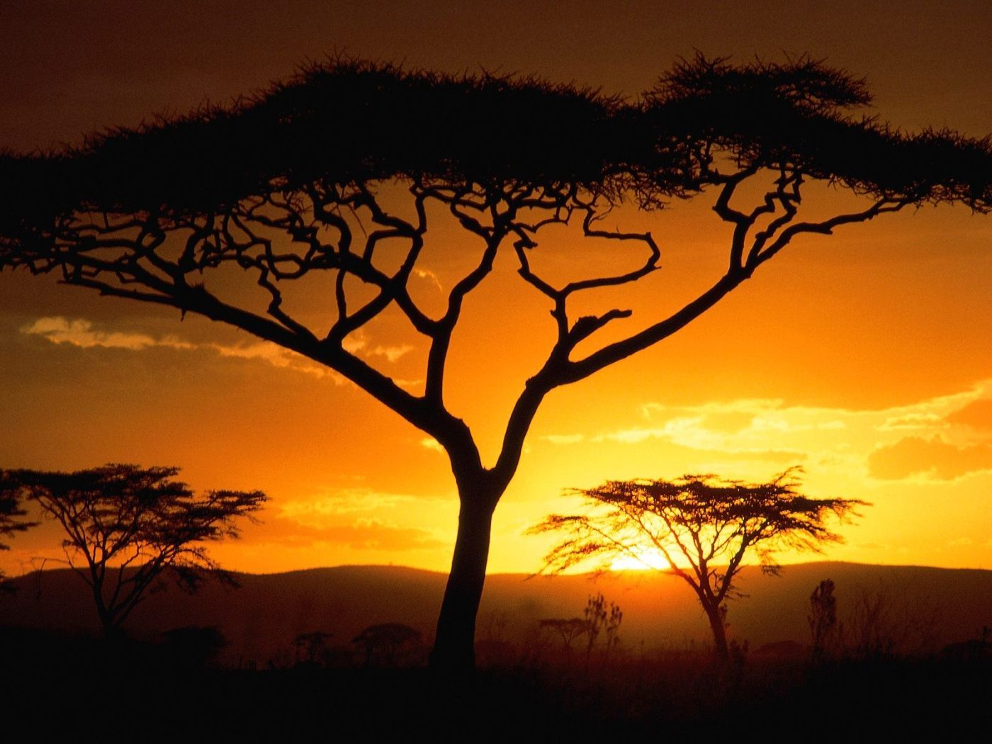 Fondos de paisajes africanos Grupo 1920 × 1080 Fondos de África (43