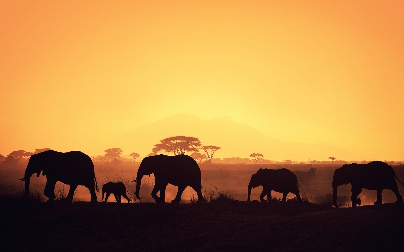 Afrika Wallpapers HD